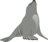 Sea Lion Looking Up Clip Art